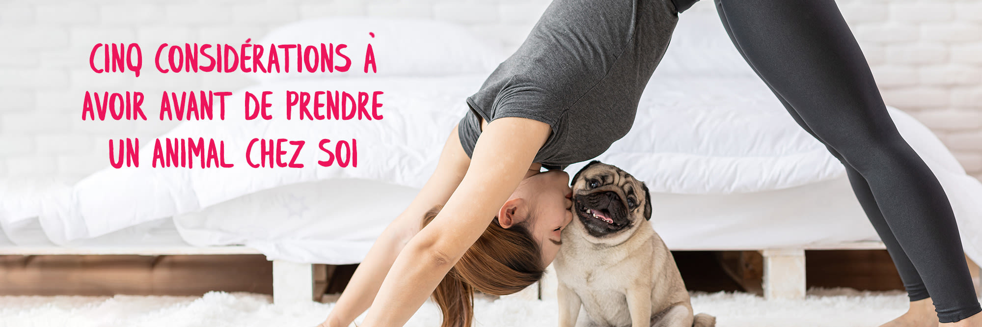 Avoir De La Considération Pour Quelqu Un Cinq considérations à avoir avant de prendre un animal chez soi